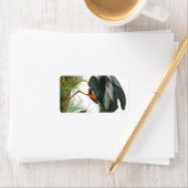 Great Blue Heron door John James Audubon Etiket (Insitu)