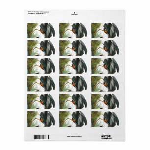 Great Blue Heron door John James Audubon Etiket