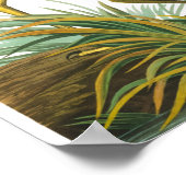 Great Blue Heron door John James Audubon Poster (Hoek)