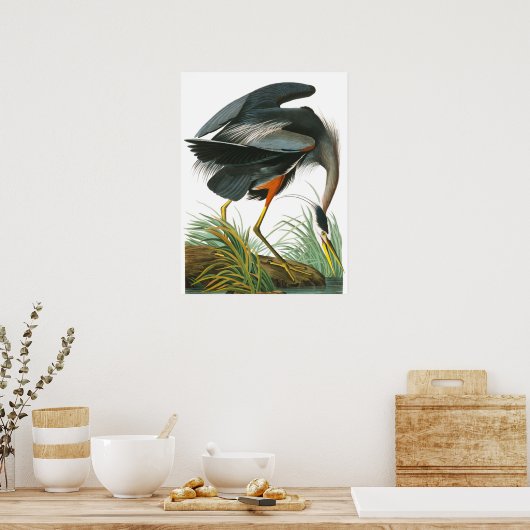 Great Blue Heron door John James Audubon Poster (Keuken)