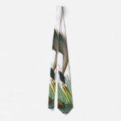 Great Blue Heron door John James Audubon Stropdas (Achterkant)