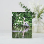Great Blue Heron en Alligator Briefkaart (Staand voorkant)