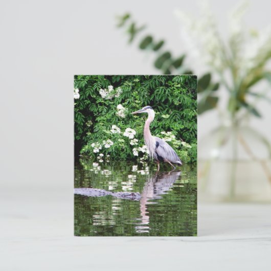 Great Blue Heron en Alligator Briefkaart (Staand voorkant)