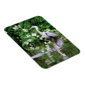 Great Blue Heron en Alligator Magnet Magneet (Rechterzijde)