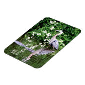 Great Blue Heron en Alligator Magnet Magneet (Linkerzijde)