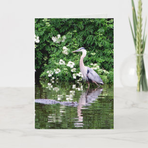 Great Blue Heron en Alligator Wenskaart Kaart