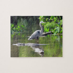 Great Blue Heron en Alligators Puzzle Legpuzzel