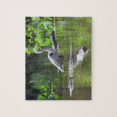 Great Blue Heron en Alligators Puzzle Legpuzzel (Verticaal)