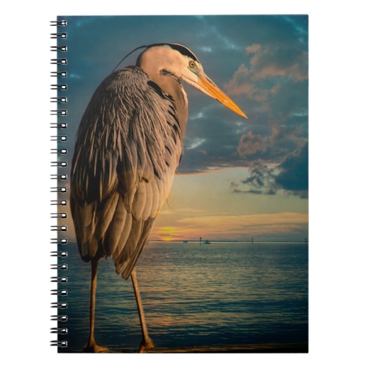 Great Blue Heron en Blue Sunset Notitieboek (Voorkant)