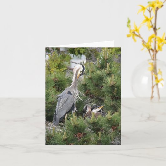 Great Blue Heron en zijn baby's Kaart (Gele Bloem)