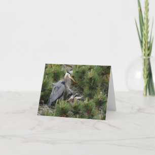 Great Blue Heron en zijn baby's Kaart
