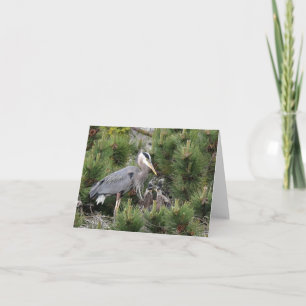 Great Blue Heron en zijn baby's Kaart