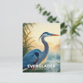 Great Blue Heron Everglades National Park in de Ve Briefkaart (Staand voorkant)