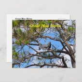 Great Blue Heron Feestdagenkaart (Voorkant / Achterkant)