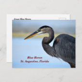 Great Blue Heron Feestdagenkaart (Voorkant / Achterkant)