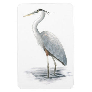 Great Blue Heron Flexi Magnet Magneet