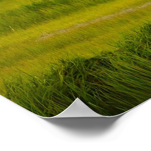 Great Blue Heron Flying Poster (Hoek)