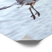 Great Blue Heron Flying Poster (Hoek)
