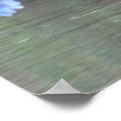 Great Blue Heron Flying Poster (Hoek)