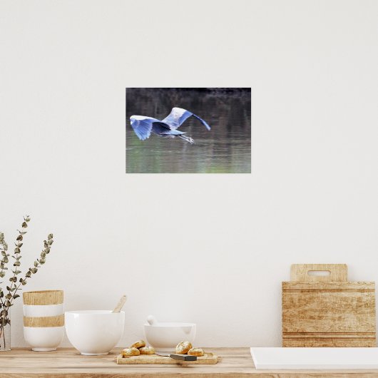 Great Blue Heron Flying Poster (Keuken)