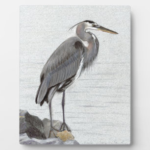 Great Blue Heron Fotoplaat