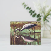 Great Blue Heron Gevist Briefkaart (Staand voorkant)