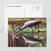 Great Blue Heron Gevist Briefkaart (Voorkant / Achterkant)