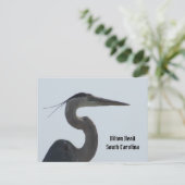 Great Blue Heron Hilton Head SC Briefkaart (Staand voorkant)