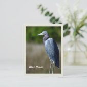 Great Blue Heron Holiday Briefkaart (Staand voorkant)