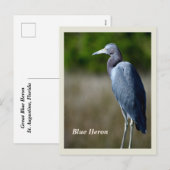 Great Blue Heron Holiday Briefkaart (Voorkant / Achterkant)