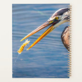 Great Blue Heron Hunting Prey Wildlife Art Print Planner (Achterkant)