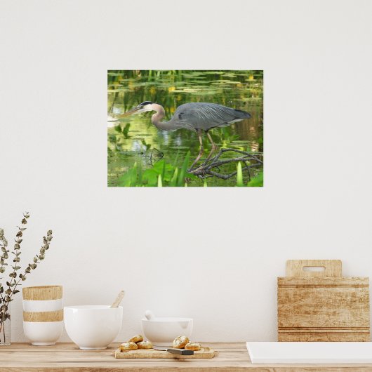 Great Blue Heron in een vijver - Poster (Keuken)