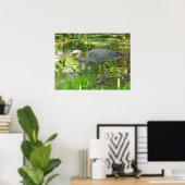 Great Blue Heron in een vijver - Poster (Thuiskantoor)