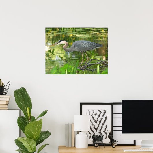 Great Blue Heron in een vijver - Poster (Thuiskantoor)