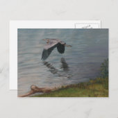 Great Blue Heron in Flight Bird Art Briefkaart (Voorkant / Achterkant)