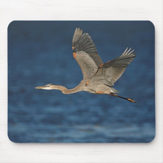 Great Blue Heron in Flight Muismat (Voorkant)