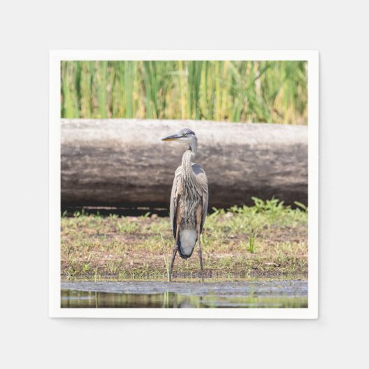 Great Blue Heron in het ChamPlain-meer Servetten (Voorkant)