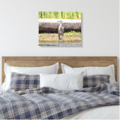 Great Blue Heron in Lake ChamPlain Canvas Afdruk (Insitu (Slaapkamer))