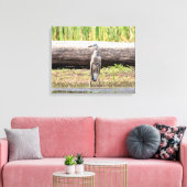 Great Blue Heron in Lake ChamPlain Canvas Afdruk (Insitu (Woonkamer))