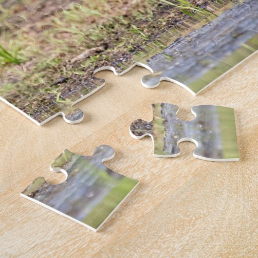 Great Blue Heron in Lake ChamPlain Legpuzzel (Zijkant)