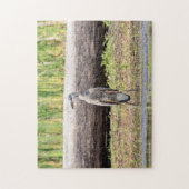 Great Blue Heron in Lake ChamPlain Legpuzzel (Verticaal)