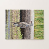 Great Blue Heron in Lake ChamPlain Legpuzzel (Horizontaal)