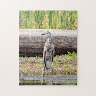 Great Blue Heron in Lake ChamPlain Legpuzzel