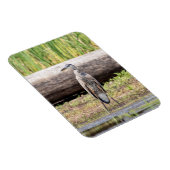 Great Blue Heron in Lake ChamPlain Magneet (Rechterzijde)