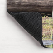 Great Blue Heron in Lake ChamPlain Muismat (Hoek)