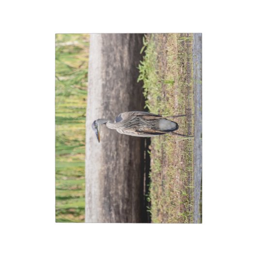 Great Blue Heron in Lake ChamPlain Notitieblok (Linkerzijde)