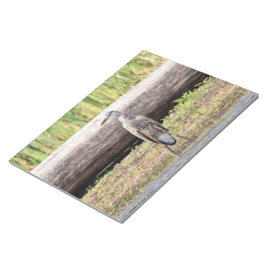 Great Blue Heron in Lake ChamPlain Notitieblok (Schuin)