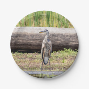 Great Blue Heron in Lake ChamPlain Papieren Bordje