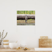 Great Blue Heron in Lake ChamPlain Poster (Keuken)