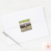 Great Blue Heron in Lake ChamPlain Vierkante Sticker (Envelop)
